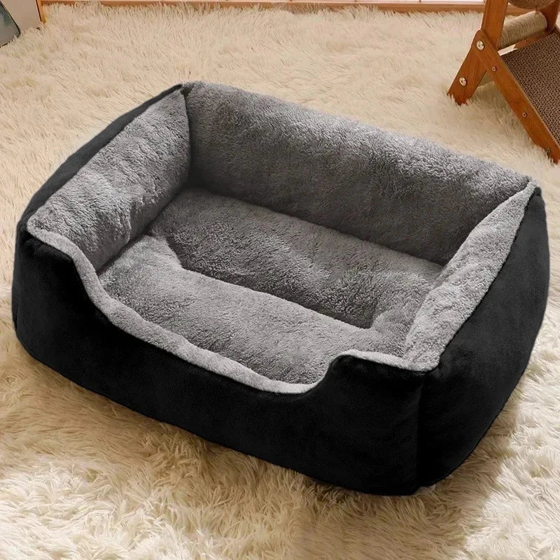 Bed for Cats Pet Products Cushions Kitten Goods Accessories Dog All Home Supplies Things Accessory Habitats Basket House Beds Manwatstore
