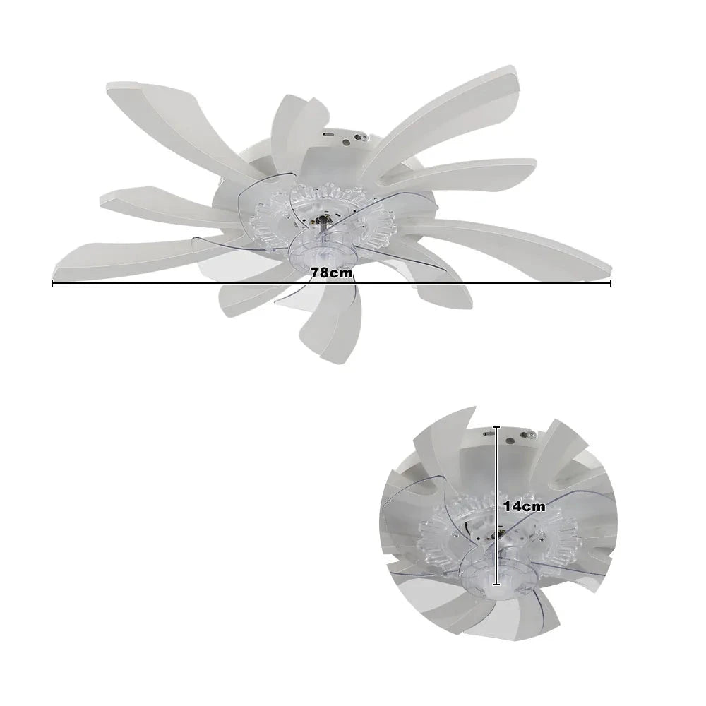 Modern LED Ceiling Fan with Remote Control, 6 Speeds & 3 Colour Temperatures ceiling fan Manwatstore