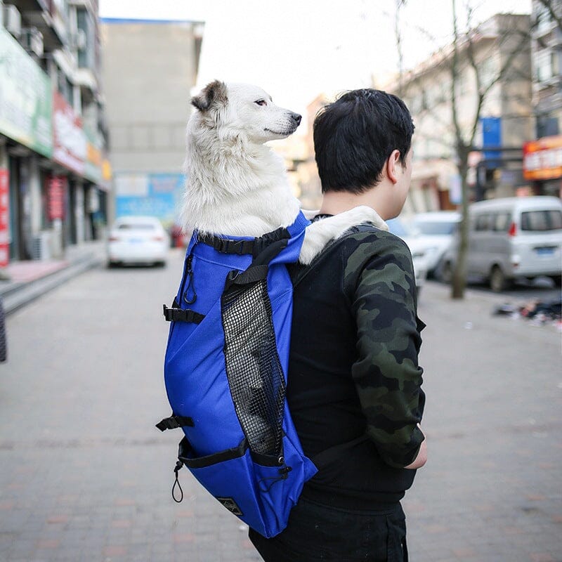 Pet Dog Carrier Bag Carrier For Dogs Backpack Out Double Shoulder Portable Travel Backpack Outdoor Dog Carrier Bag Travel 0 Manwatstore
