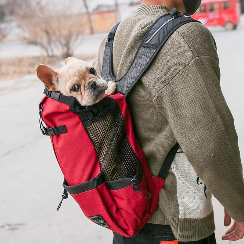 Pet Dog Carrier Bag Carrier For Dogs Backpack Out Double Shoulder Portable Travel Backpack Outdoor Dog Carrier Bag Travel 0 Manwatstore