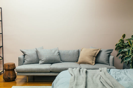Enhance Your Home on a Budget with a Versatile Sofa Bed