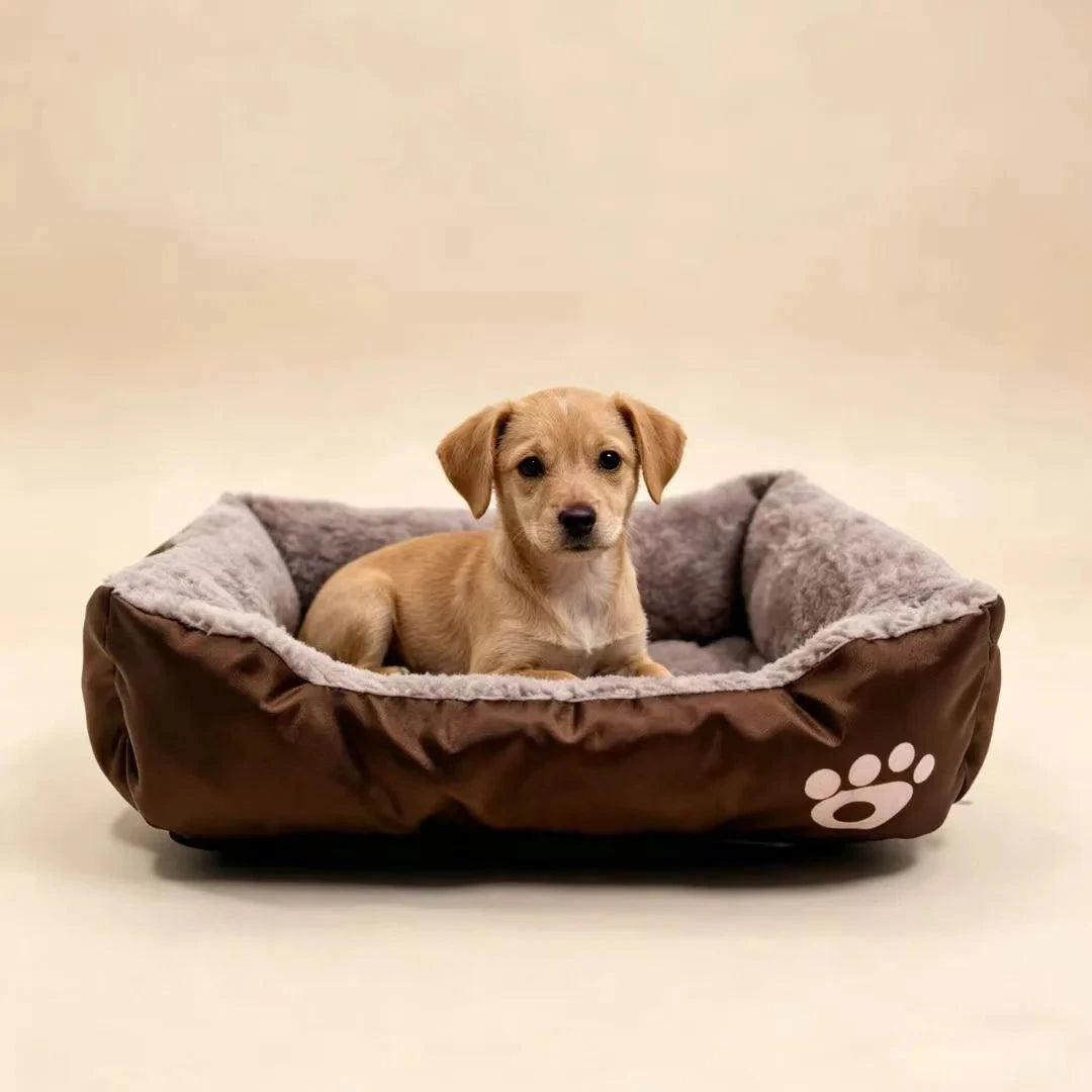 2023 Warm Soft Plush Pet Bed for Small Medium Large Dogs Round Cat Bed House Dogs Mat Dog Sleep Kennel Mat Cama Perro Manwatstore