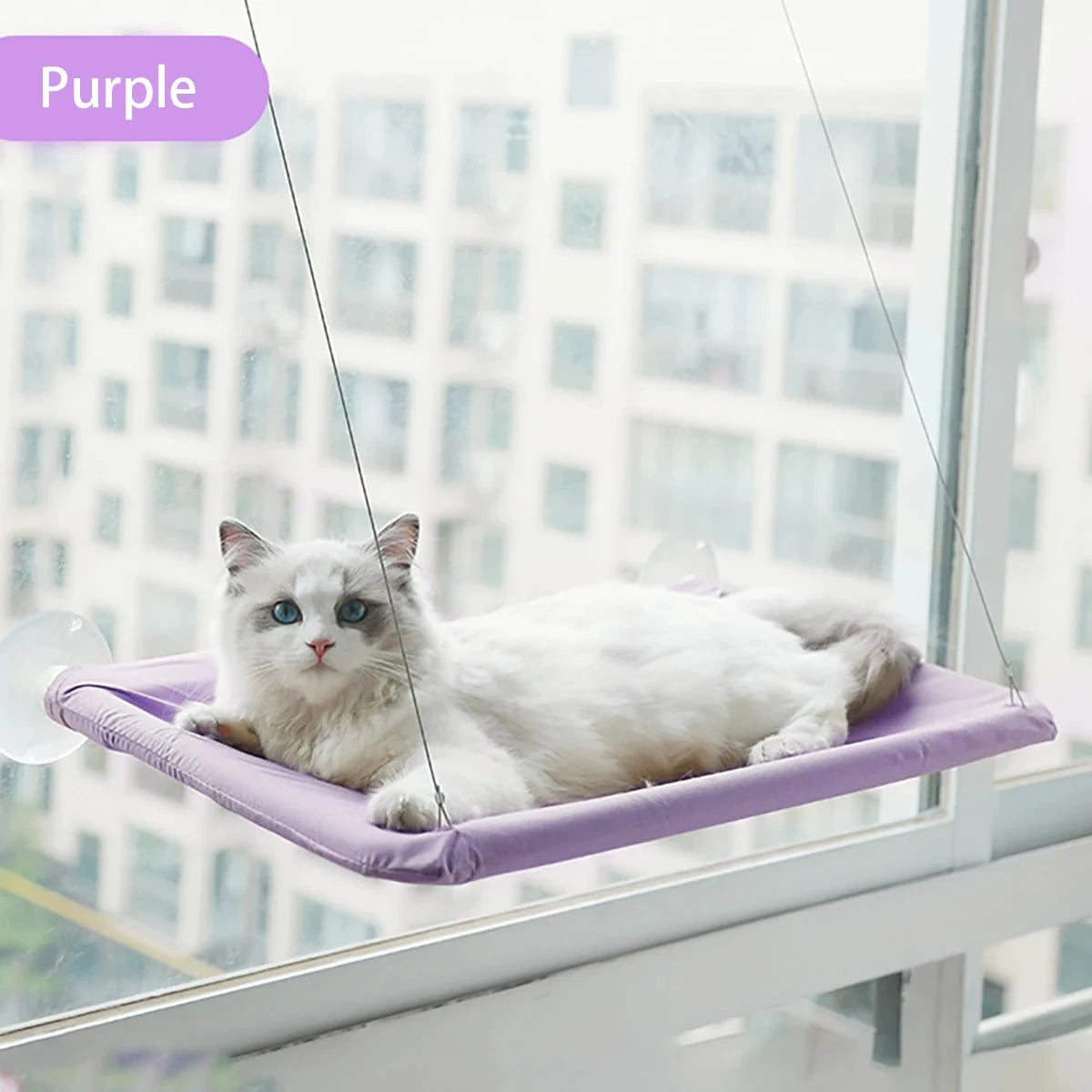 20KG Pet Cat Hammock Hanging Cat Bed Bearing Comfortable Cat Sunny Window Seat Mount Kitten Climbing Frame Pet Accessories Manwatstore