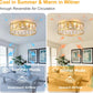 Luxury Caged Ceiling Fan with LED Light & Remote Control