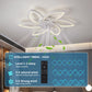 Modern Flower Shape Ceiling Fan With LED Lights-  Adjustable 6-Gear Speed Dimmable Ceiling Fan
