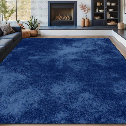 Modern Abstract Style Carpet for Living Room Ins Decoration Home Fluffy Soft Large Area Rugs Bedroom Bathroom Non-slip Foot Mat