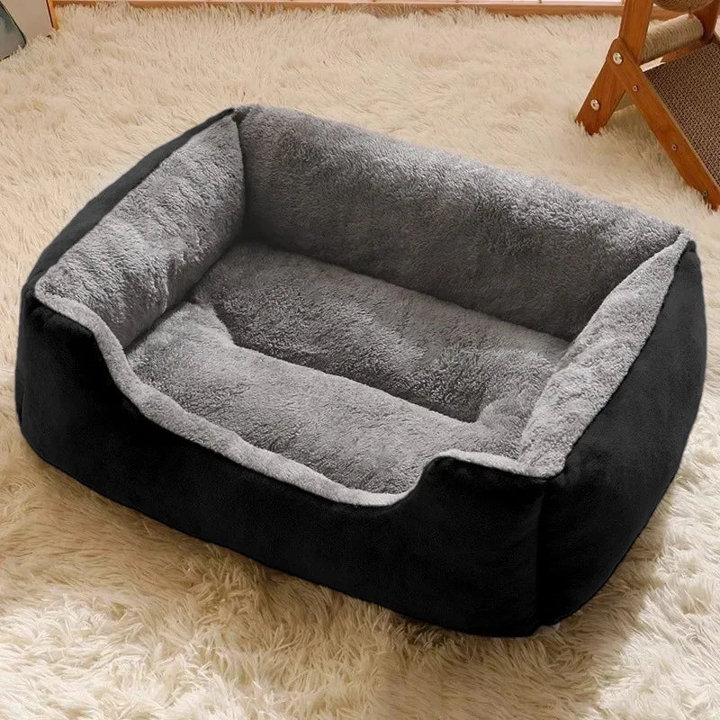Bed for Cats Pet Products Cushions Kitten Goods Accessories Dog All Home Supplies Things Accessory Habitats Basket House Beds