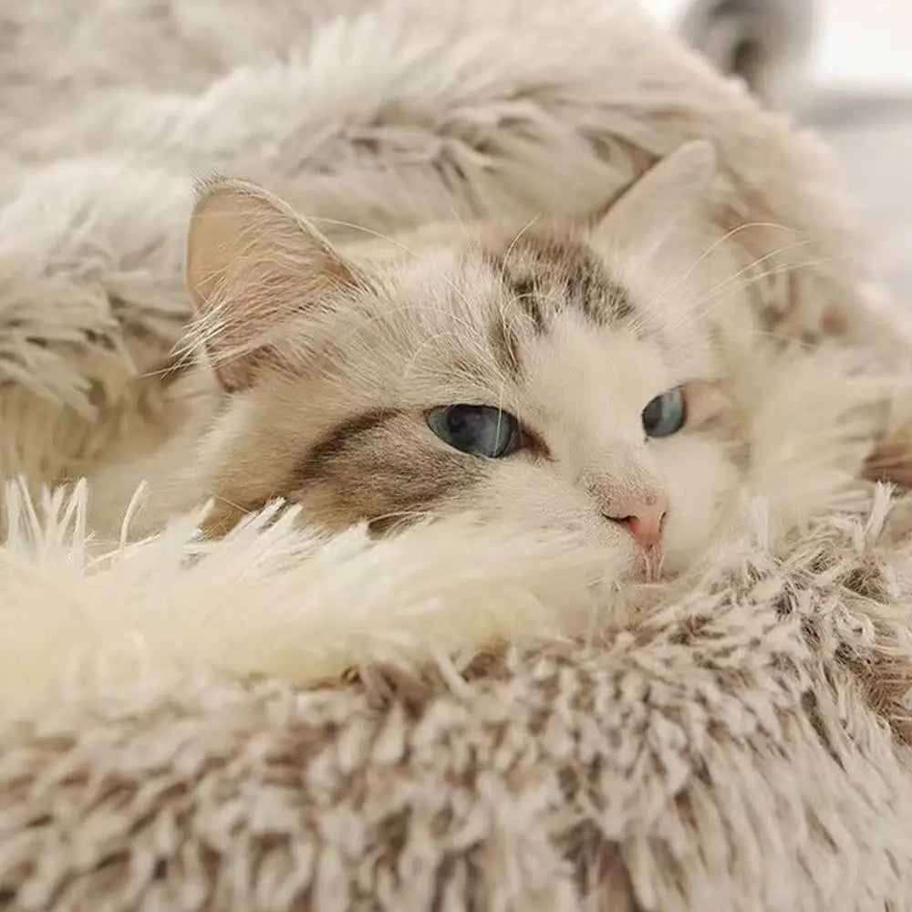 Winter Plush Pet Cat Bed Round Cat Cushion Cat House Warm Cats Basket Pet Sleep Bag Kitten Nest Kennel for Pet Dog Cats