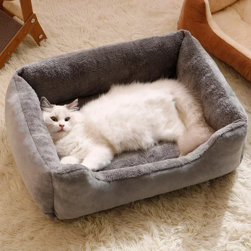 Bed for Cats Pet Products Cushions Kitten Goods Accessories Dog All Home Supplies Things Accessory Habitats Basket House Beds