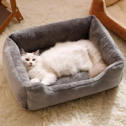 Bed for Cats Pet Products Cushions Kitten Goods Accessories Dog All Home Supplies Things Accessory Habitats Basket House Beds