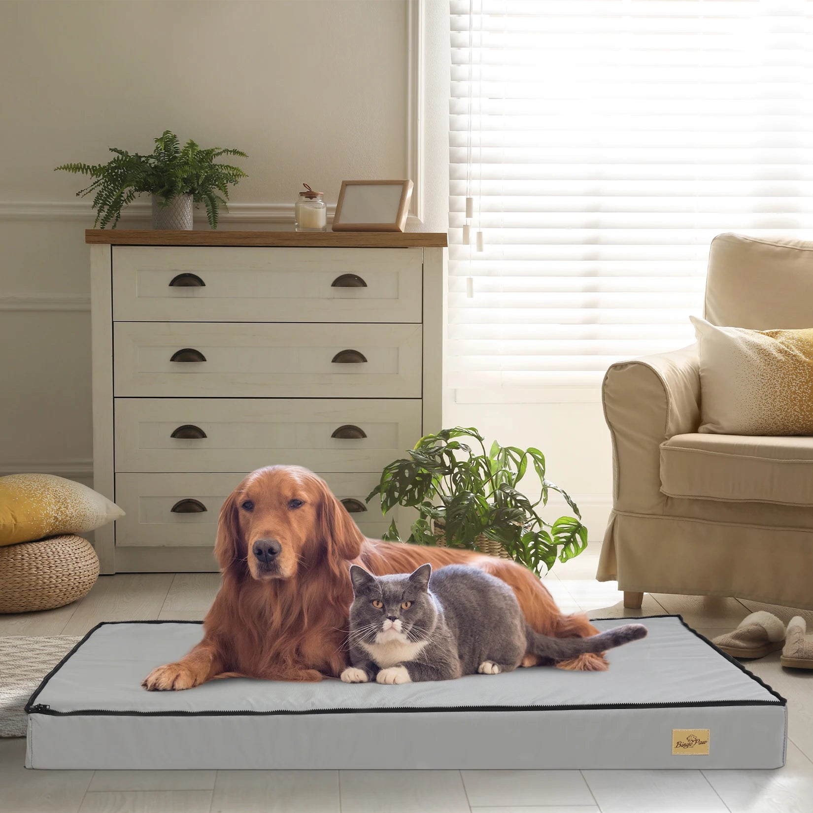 L XL 2XL 3XL Dog Bed Gray Orthopedic Pet Calming Bed Soft Sponge Foam Base Dog Crate Kennels Mat with Removable Cover Manwatstore