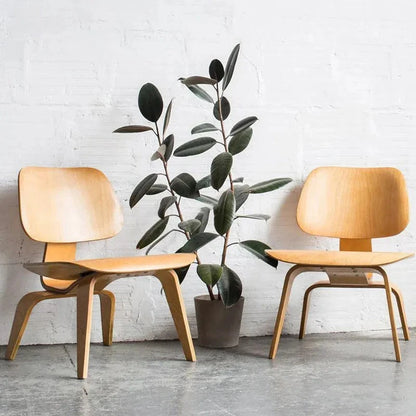 Living Room Chairs Nordic Solid Wood Leisure Chair Creative Simple Modern Designer Single Sofa Chair Aircraft Shell Chair Manwatstore
