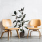 Living Room Chairs Nordic Solid Wood Leisure Chair Creative Simple Modern Designer Single Sofa Chair Aircraft Shell Chair Manwatstore