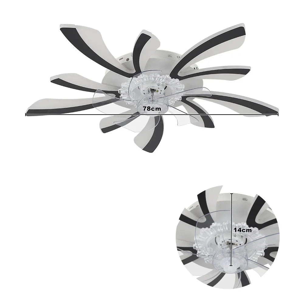 Modern LED Ceiling Fan with Remote Control, 6 Speeds &amp; 3 Colour Temperatures ceiling fan Manwatstore