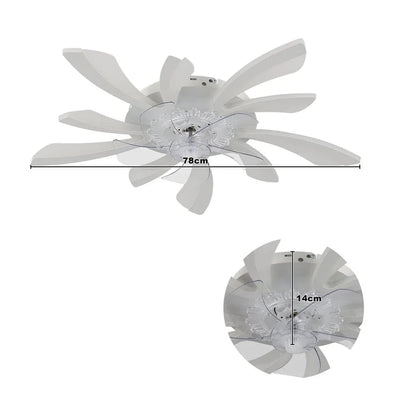 Modern LED Ceiling Fan with Remote Control, 6 Speeds &amp; 3 Colour Temperatures ceiling fan Manwatstore