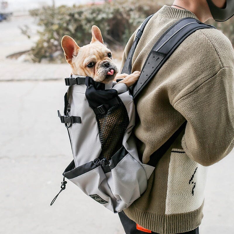 Pet Dog Carrier Bag Carrier For Dogs Backpack Out Double Shoulder Portable Travel Backpack Outdoor Dog Carrier Bag Travel 0 Manwatstore