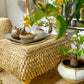 Rattan Floor Tea Table Tatami Style Minimalist Coffee Table for Balcony Low Bedside Small Space Window Area Use Manwatstore