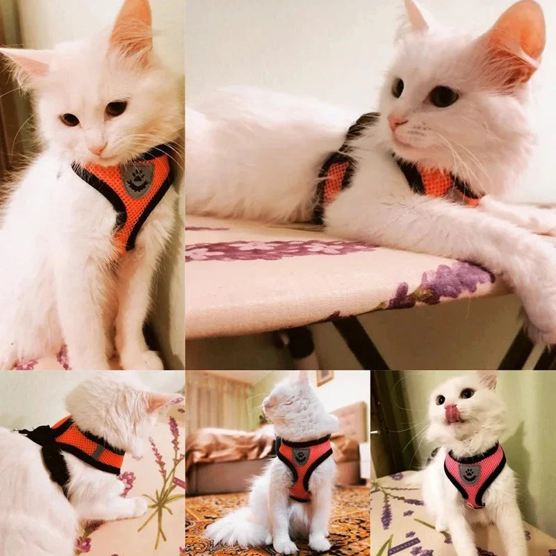 Summer Cat Dog Harness Lead Leash Adjustable Vest Polyester Mesh Breathable Harnesses Reflective for Small Dog Cat Lesah Manwatstore